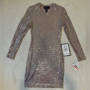 Shimmering Mauve and Silver Sequin Dress